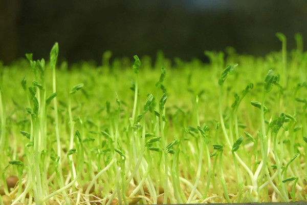 <a href='http://m.zhghuayu.com' target='_blank'><u>健康管理師考試</u></a>時間